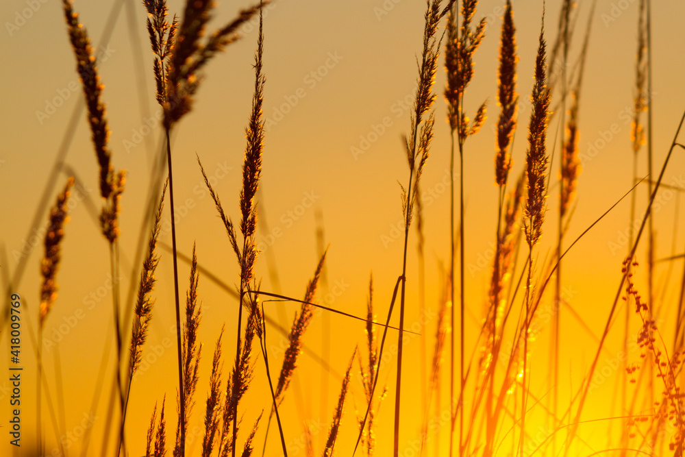 Beautiful orange sunset Beautiful orange sunset