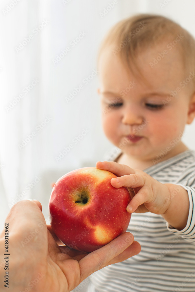 Cute baby girl are sitting with apple white background interior. Funny child explores the fruit Cute baby girl are sitting with apple white background interior. Funny child explores the fruit