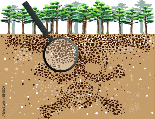 inside the soil layer and surrounding trees