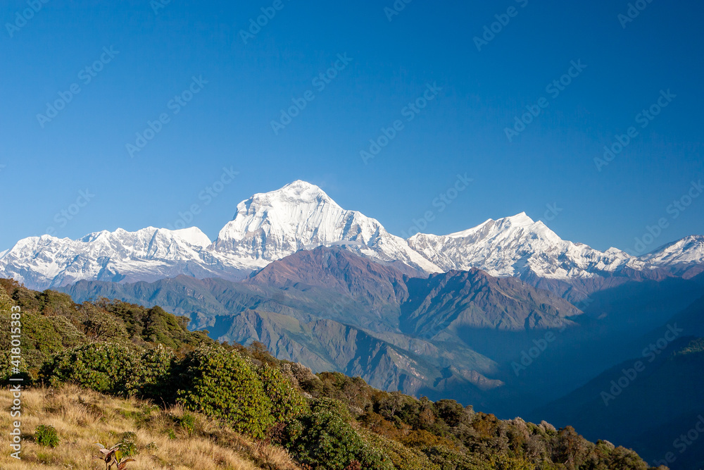 Himalaya Panorama as Seen from Poon Hill, Nepal - Dhaulagiri range with Tukuche peak to the right.