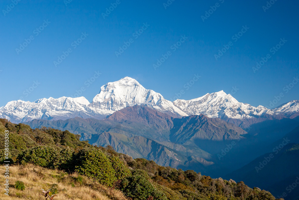 Himalaya Panorama as Seen from Poon Hill, Nepal - Dhaulagiri range with Tukuche peak to the right. Himalaya Panorama as Seen from Poon Hill, Nepal - Dhaulagiri range with Tukuche peak to the right.