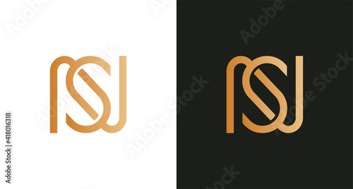 Simple elegant letter NS infinity logo