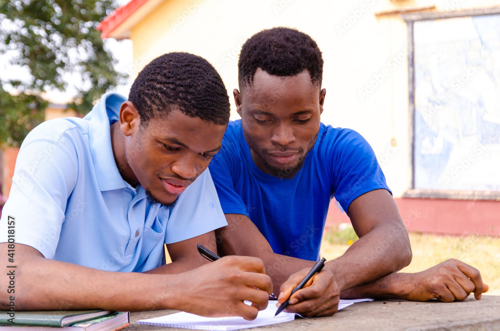 two young handsome african brothers studying their book against examination two young handsome african brothers studying their book against examination
