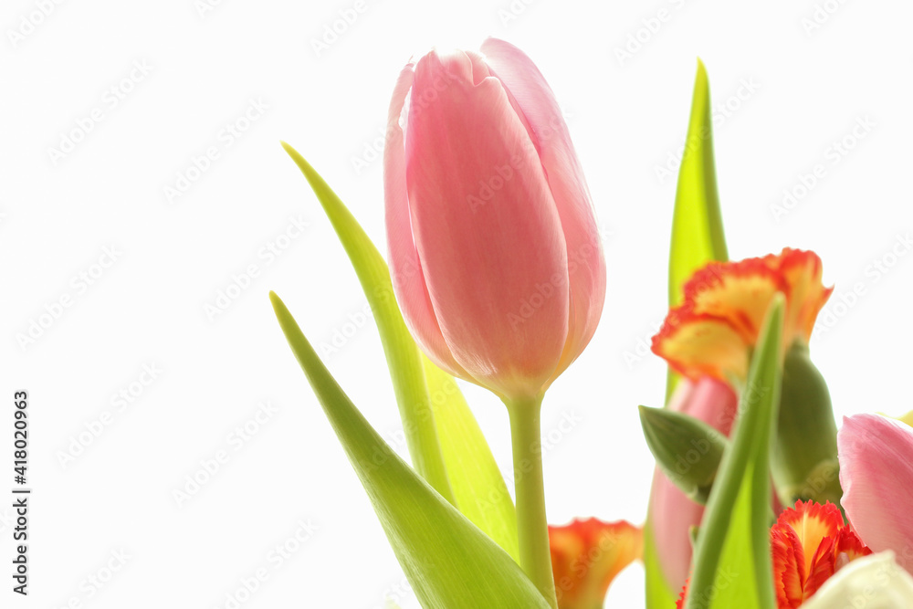 Bouquet of beautiful spring flowers. Bouquet of beautiful spring flowers.