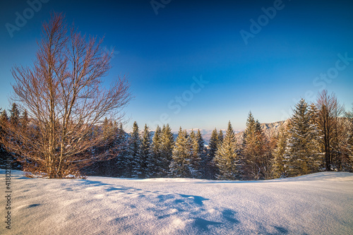 Winter mountain snowy landscape at a sunny day. The Mala Fatra national park in Slovakia, Europe.