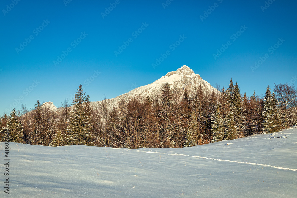 Winter mountain snowy landscape at a sunny day. The Velky Rozsutec hill in The Mala Fatra national park in Slovakia, Europe.