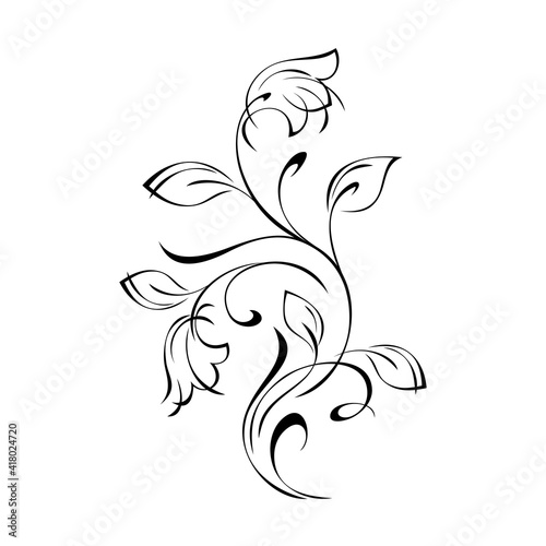 twig with stylized flowers, leaves and curls in black lines on a white background