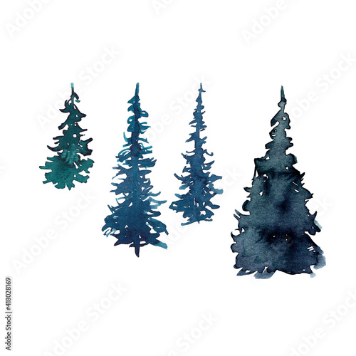 Watercolor fir trees isolated on white background.