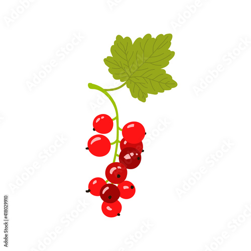 Red currant. Garden berries. Vector flat illustration.