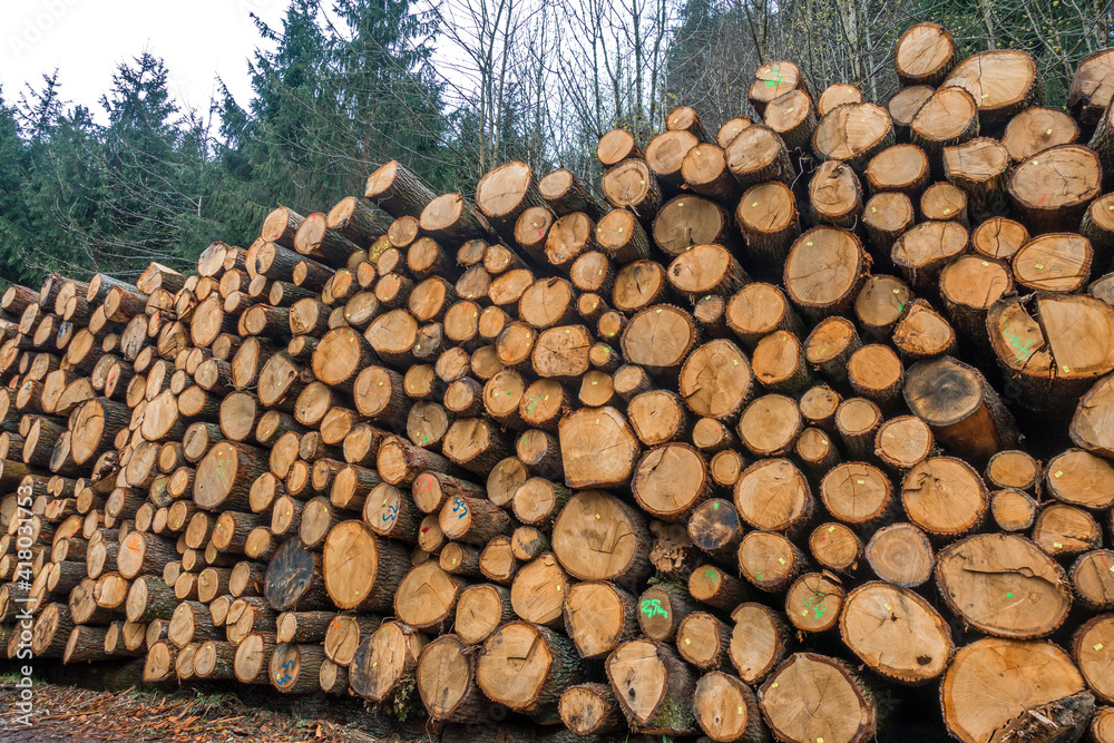 stack of logs