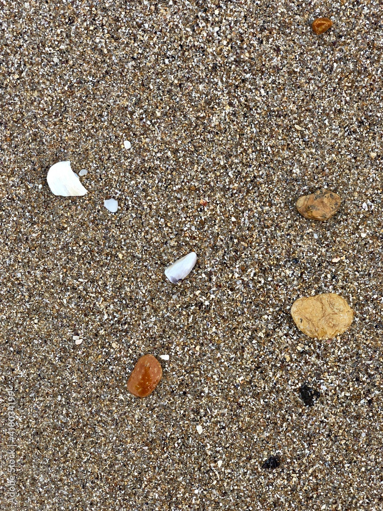 wet pebbles, shells, sand on the seashore close-up wet pebbles, shells, sand on the seashore close-up
