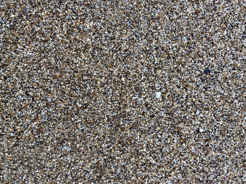 wet pebbles, shells, sand on the seashore close-up
