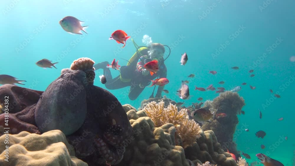 Exciting diving off Mafia Island. Tanzania. Africa.