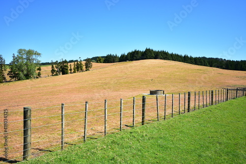 Dairy farm paddock fenced with usual seven wire fence with brownish dry grass in hot summer.