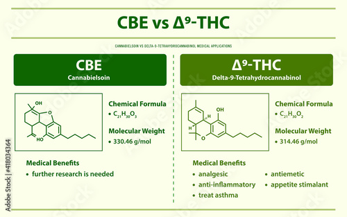 CBE vs ∆9-THC, Cannabielsoin vs Delta 9 Tetrahydrocannabinol horizontal infographic illustration about cannabis as herbal alternative medicine and chemical therapy, healthcare and medical vector.
