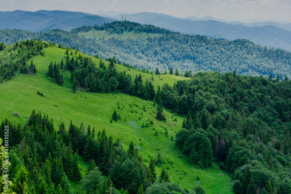 Beautiful landscape on the mountains, green hills with trees, hiking in the Carpathian mountains
