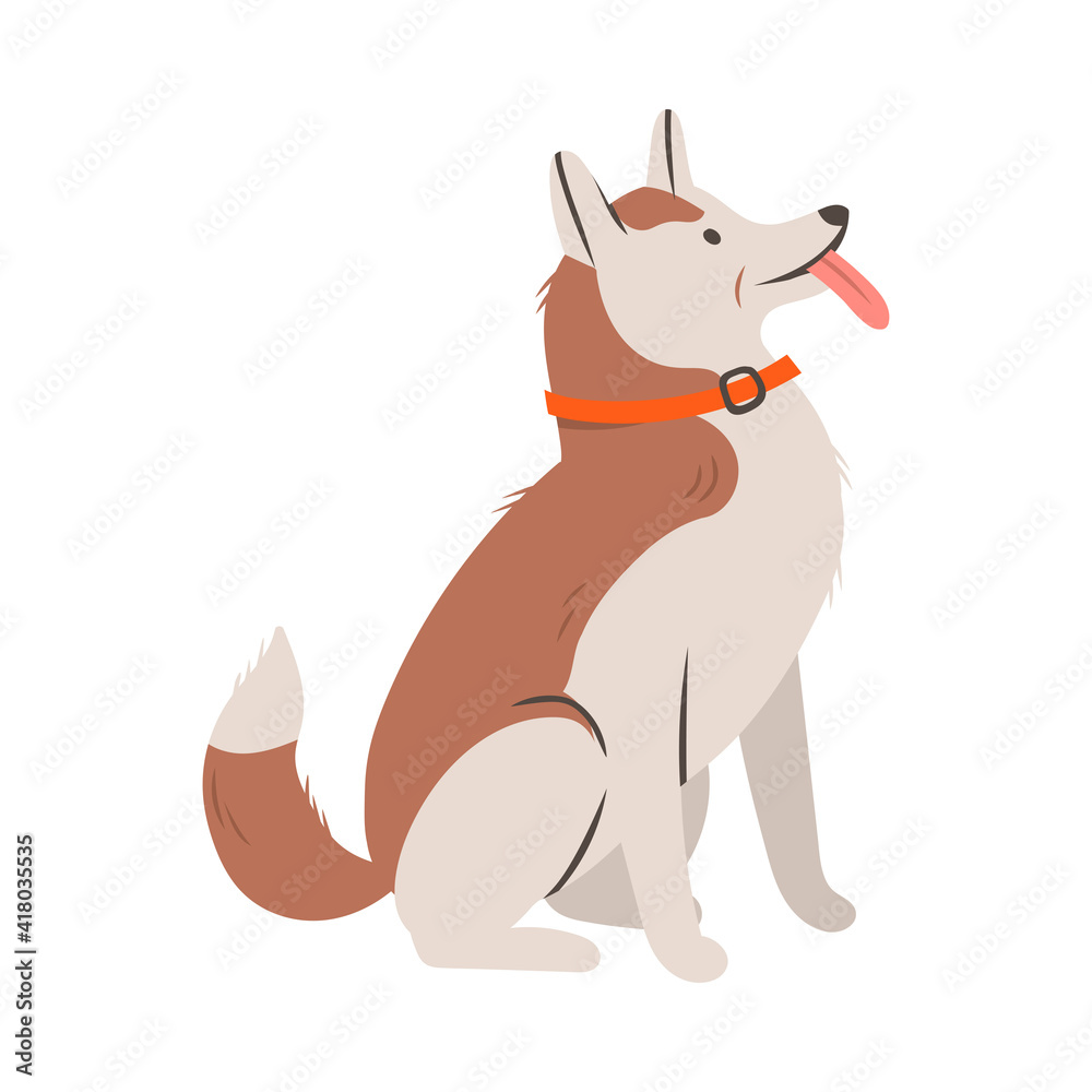 Furry Dog with Collar Sitting Sticking out Tongue Vector Illustration