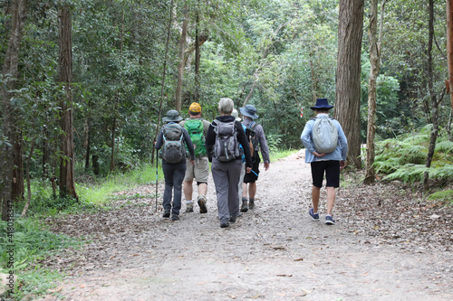 Blackbutt Creek Track, Gordon, Sydney, NSW, Australia photo