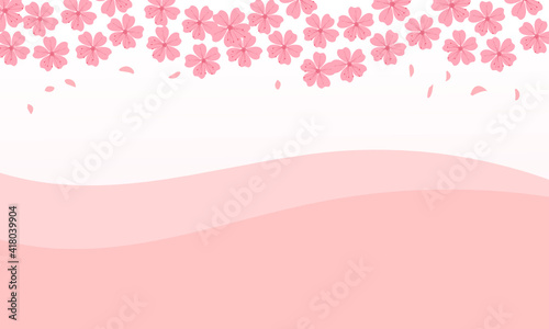 Pink Sakura flowers and pink curve on a white background vector illustration.