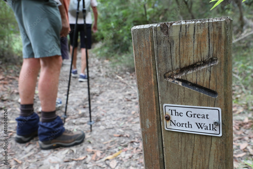 Φωτογραφία Part of the Great North Walk on the Fairyland Track in Lane Cove National Park,