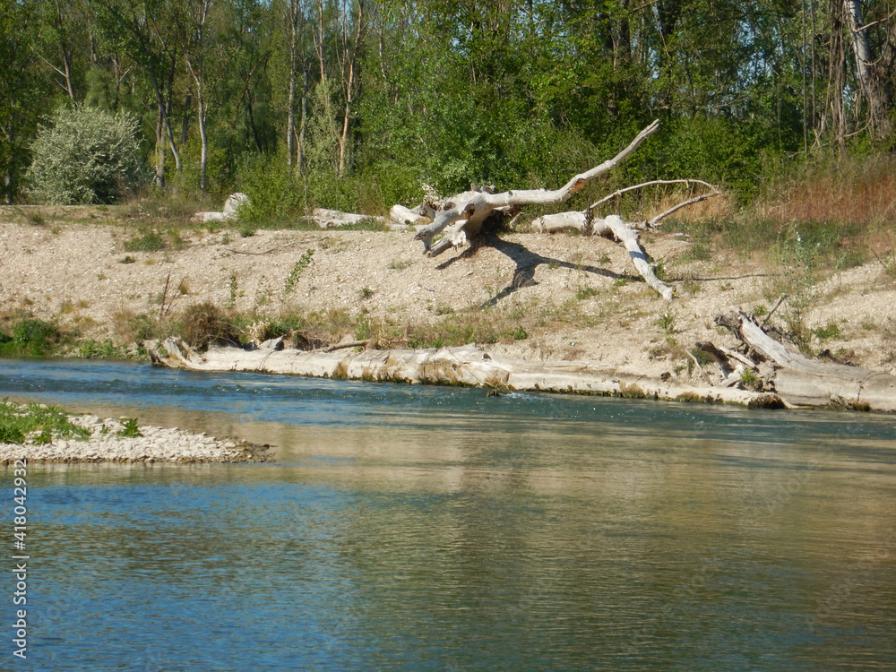 meadow landscape with a crystal clear river meadow landscape with a crystal clear river