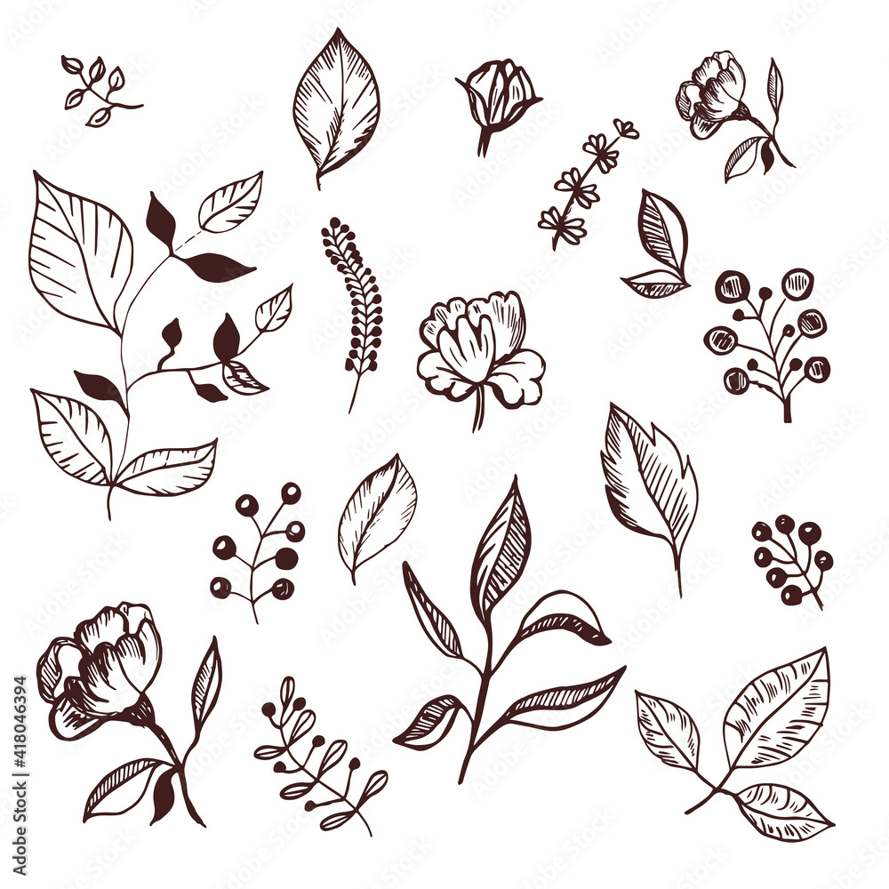 Set sketches of flowers plant leaves. Vector illustration perfect for greeting cards, party invitations, posters, stickers, clothing. Floral concept