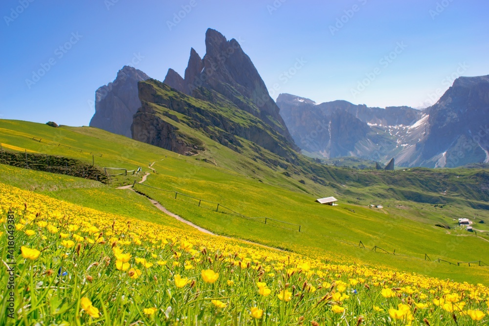 Majestic mountain scenery - Seceda, Dolomites, Italy. Blooing spring mountain slopes.