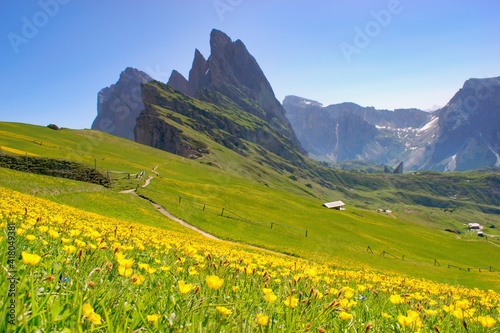 Majestic mountain scenery - Seceda  Dolomites  Italy. Blooing spring mountain slopes.