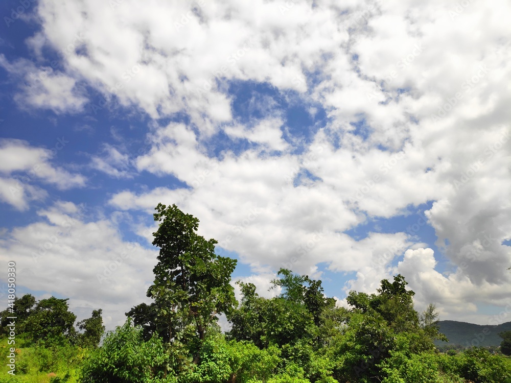 cloudy sky and trees