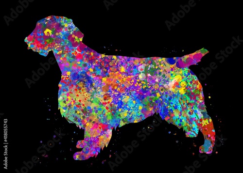 Welsh springer spanielDog watercolor, black background, abstract painting. Watercolor illustration rainbow, colorful, decoration wall art. photo