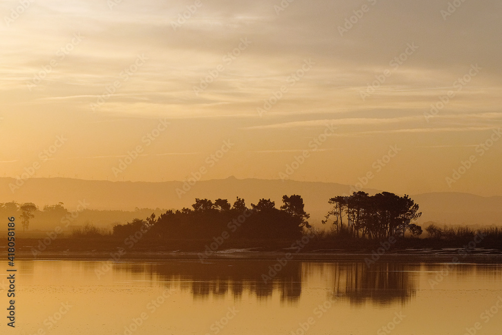 Aveiro beautiful lagoon landscape by dawn