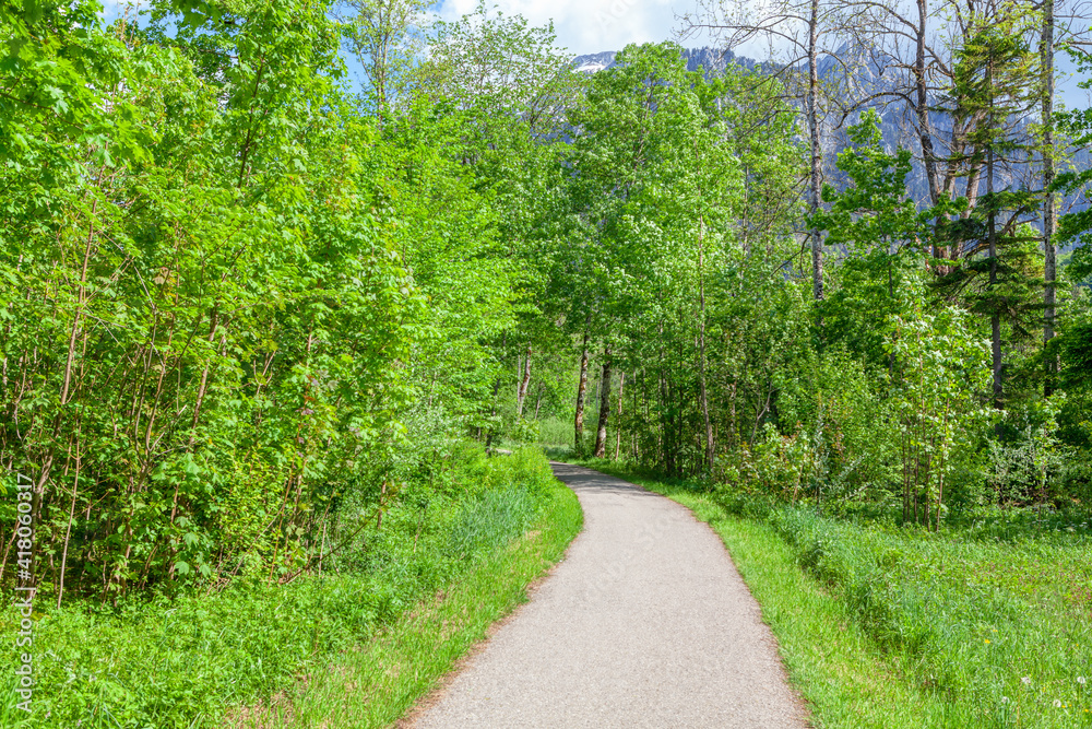 Walking Alone On Path In Park . Self-isolation in nature