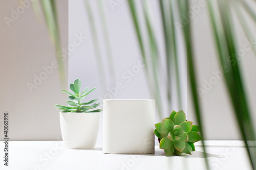 White empty boxes of different forms on light backdrop with shadow and succulent plants.