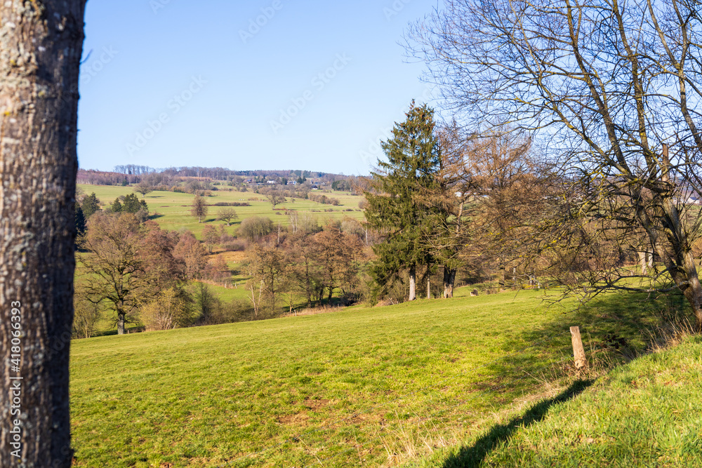 Paysage des Hautes Fagnes ( près de Malmedy et Stavelot, Belgique )