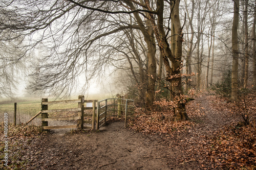Foggy Chiltern Hills pathways with path signs between Little Chalfont and Latimer, England  photo
