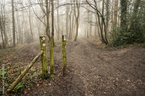 Foggy Chiltern Hills pathways with path signs between Little Chalfont and Latimer, England  photo