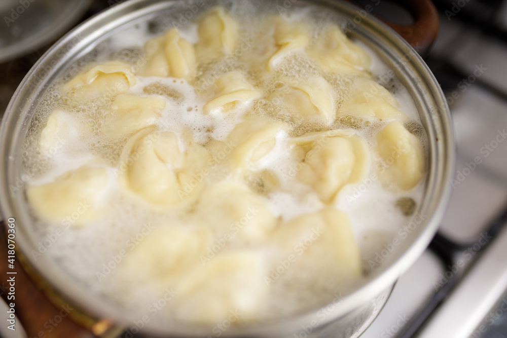 homemade dumplings in the kitchen without decorations. making dumplings with minced pork, beef and chicken homemade dumplings in the kitchen without decorations. making dumplings with minced pork, beef and chicken