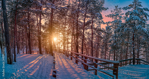 Slika na platnu View of sunset with snowy pine forest with sun rays coming through and wooden path for relaxing walk