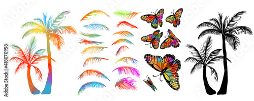 multicolored Palm trees. Set of palm leaves and butterflies. Vector illustration