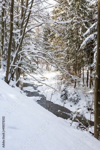 Brenna, rzeka Brennica w zimowej scenerii, las w śniegu, pejzaż zimowy © Magdalena