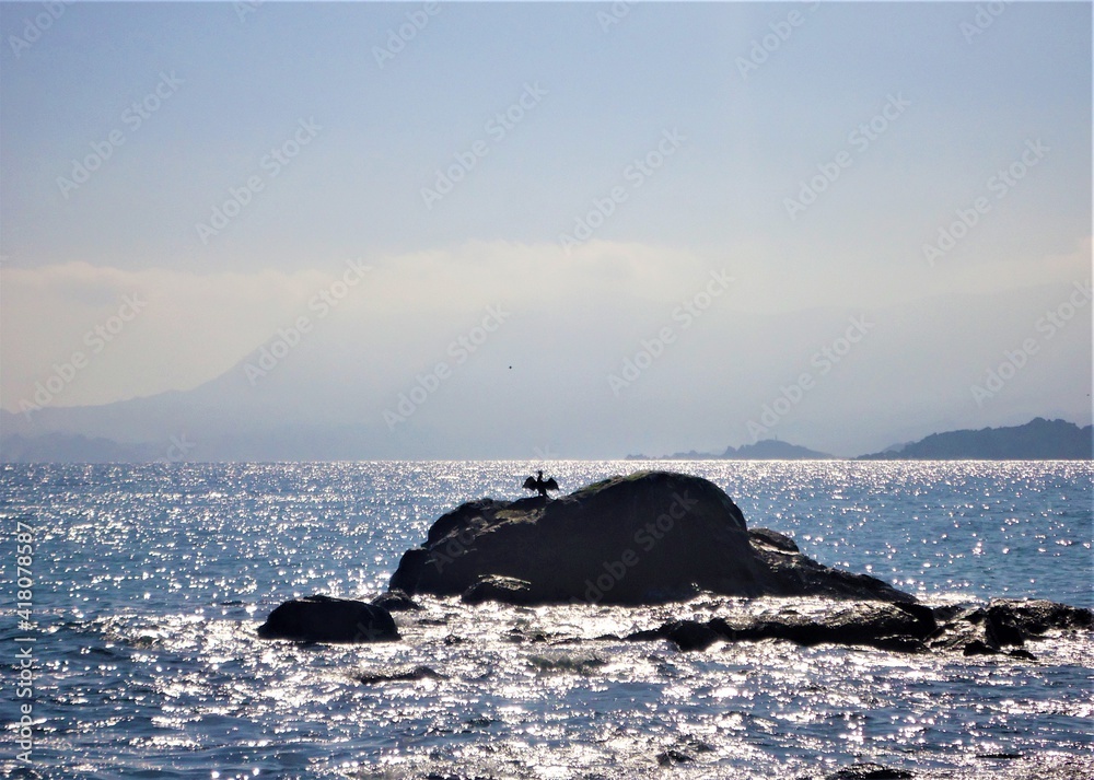 Fototapeta premium Bird on a large rock in the ocean drying up its wings with the sunshine, blue sky and the sunlight reflected on the ocean, deep depth of field and mountains in the background. 