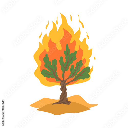 Burning Bush not Consuming by Flames as Narrative from Bible Vector Illustration