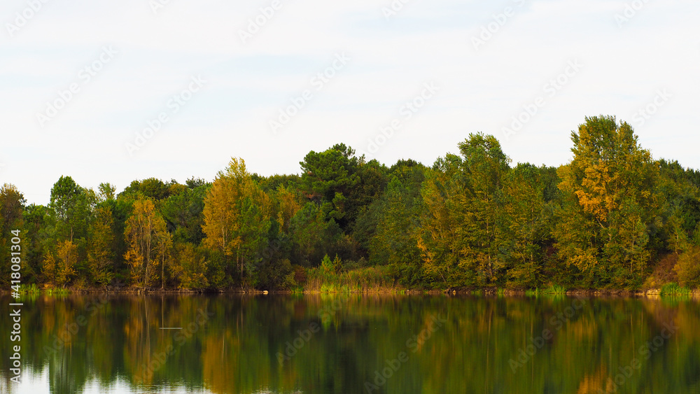 Rive opposée d'un étang, arborant les couleurs de l'automne