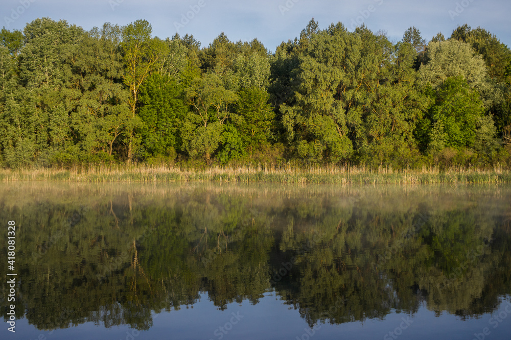 Beautiful green rivershore. Horizontal color photography of scenic summer landscape of Ukrainian countryside. Silhouettes of green sunny trees refelcted in water of river