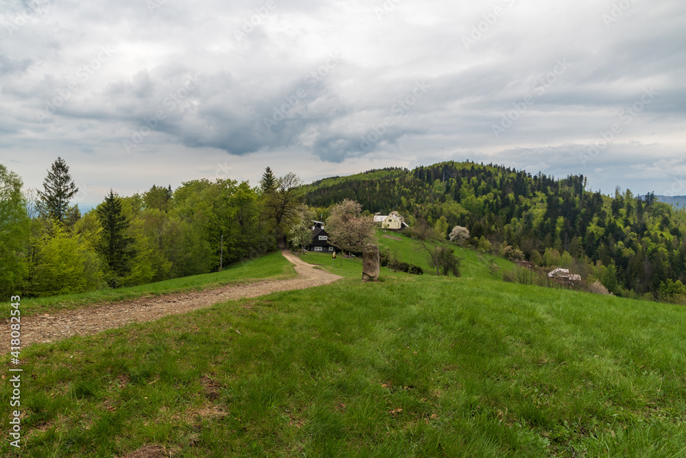 Filipka in Slezske Beskydy mountains in Czech republic during springtime