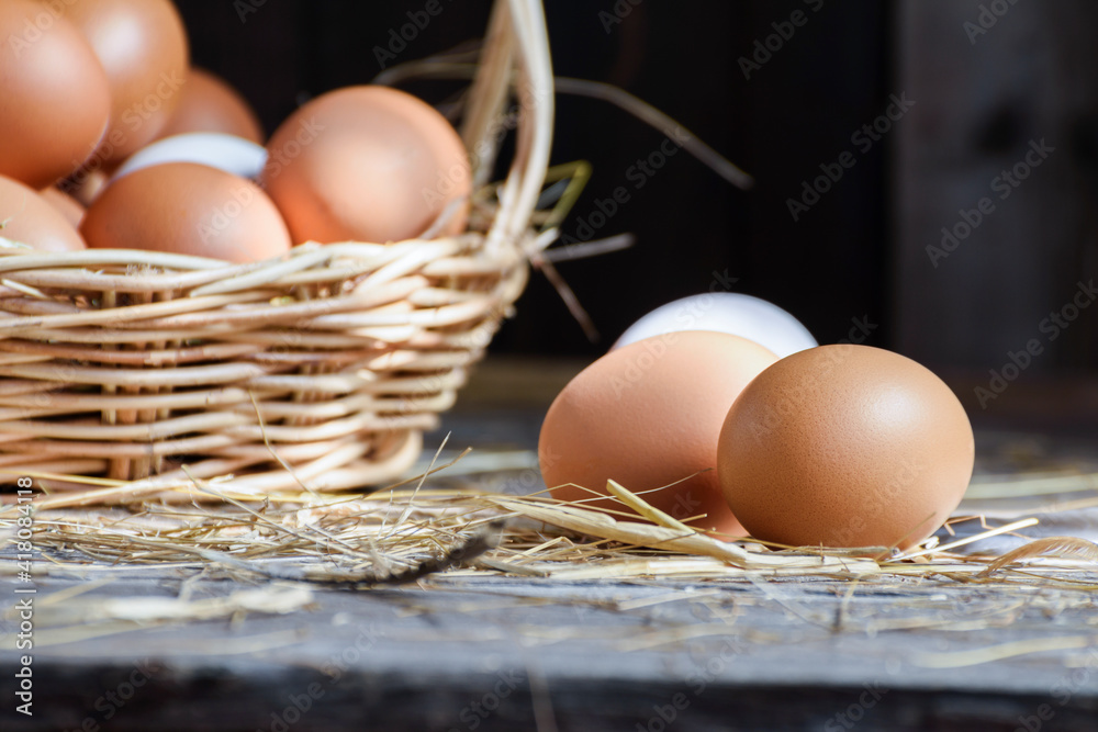 Fresh eggs are placed on a wooden table and fresh eggs are placed in a basket in an organic farm. Fresh eggs are placed on a wooden table and fresh eggs are placed in a basket in an organic farm.