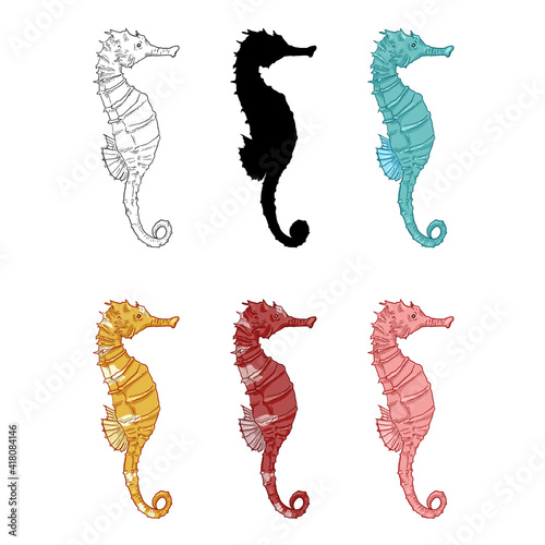 Vector Set of Seahorse Illustrations.