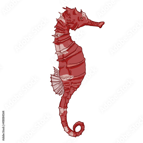 Cartoon Seahorse Vector Illustration