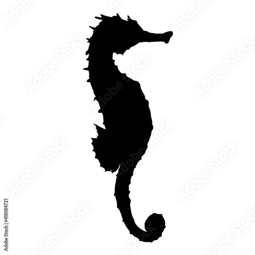 Seahorse Silhouette Vector Illustration