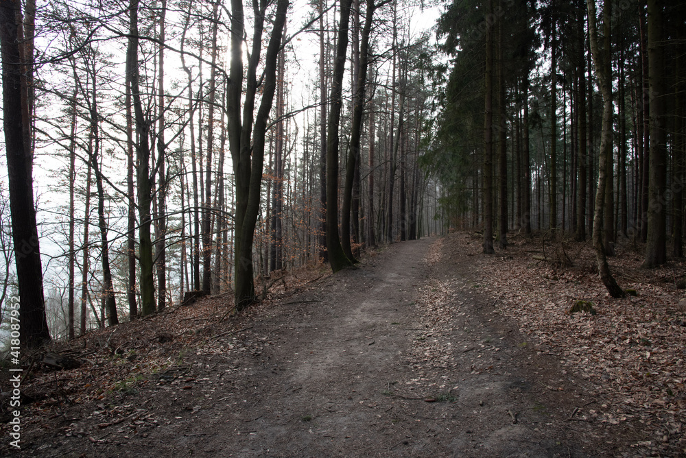 Wandern in der Sächsischen Schweiz